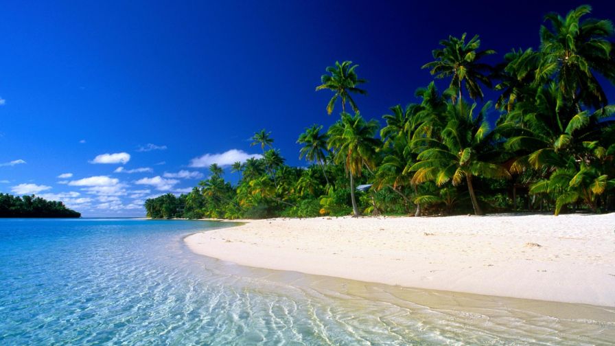 HD Wallpaper Ocean Beach Tropical