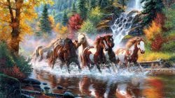 Horse Stampede Animal Wallpaper 596