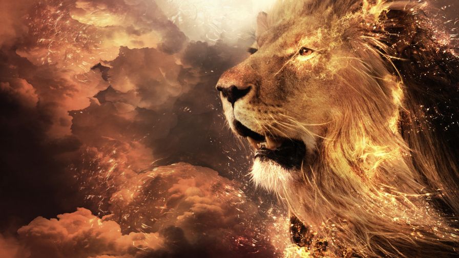 Majestic Lion Animal Wallpaper 797