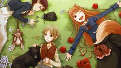Anime Spice and Wolf Wallpaper 884