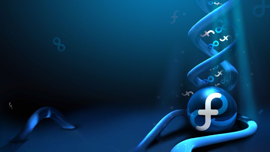 Fedora Blue Logo Wallpaper 687