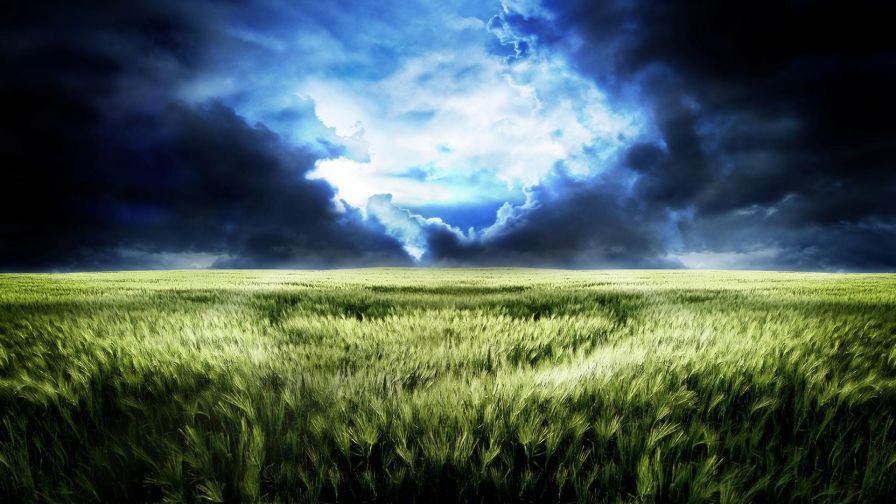 Field Clouds Sky Wallpaper 493