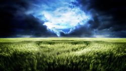 Field Clouds Sky Wallpaper 493