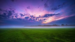 Field Fog Nature Wallpaper 655