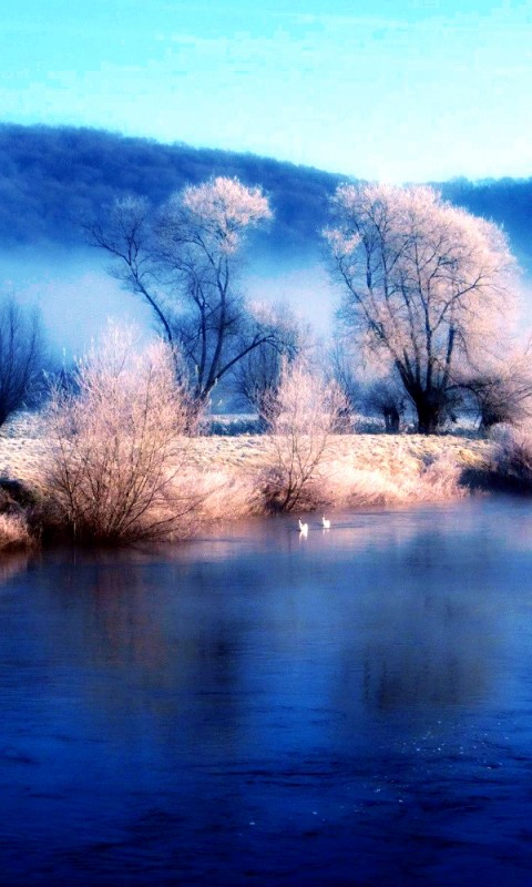 Frost Winter Lake Wallpaper 901