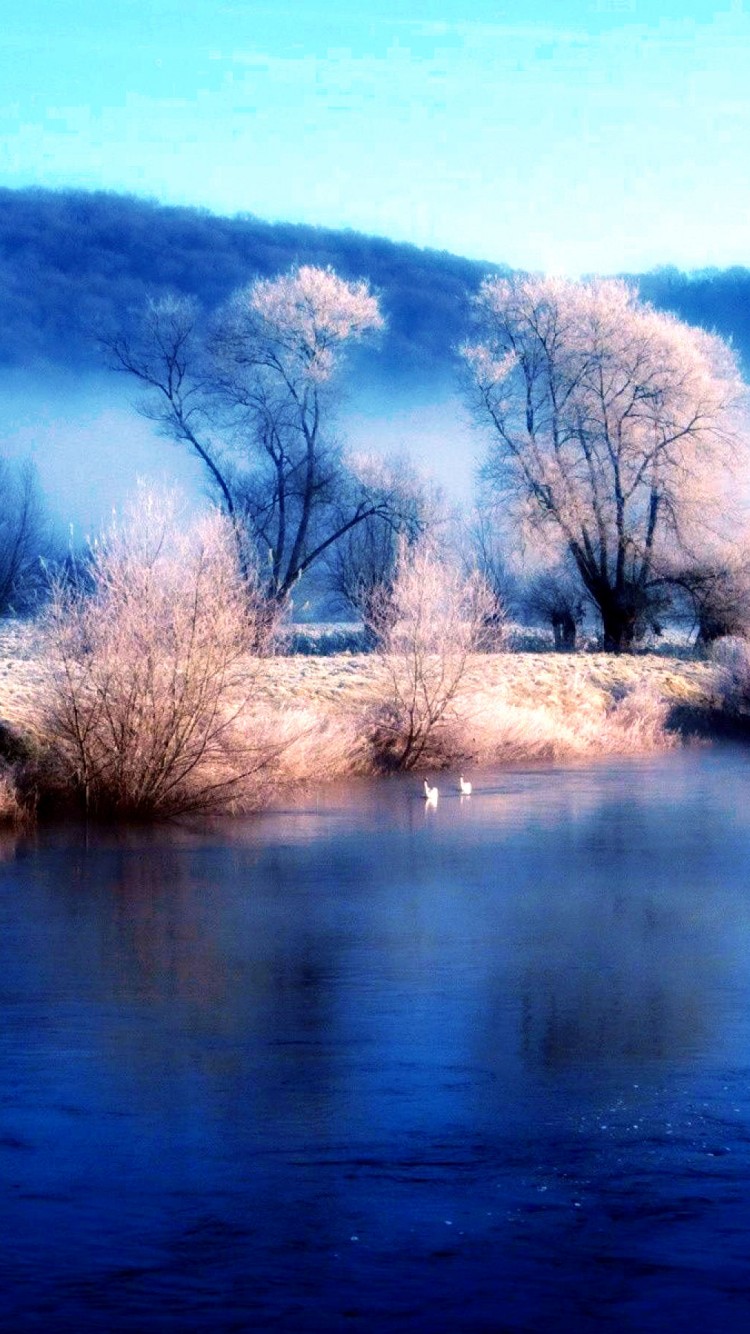 Frost Winter Lake Wallpaper 901
