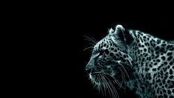 Glowing Cheetah Animal Wallpaper 437