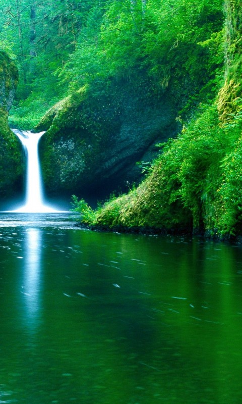Green Waterfall Forest Wallpaper 048