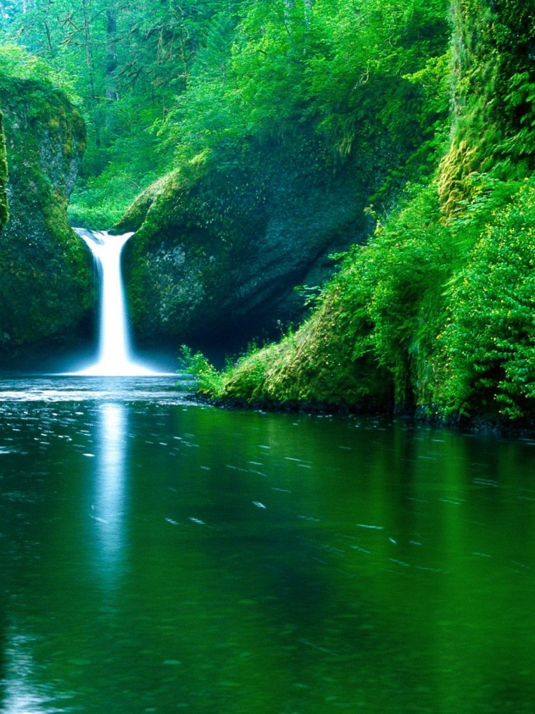 Green Waterfall Forest Wallpaper 048
