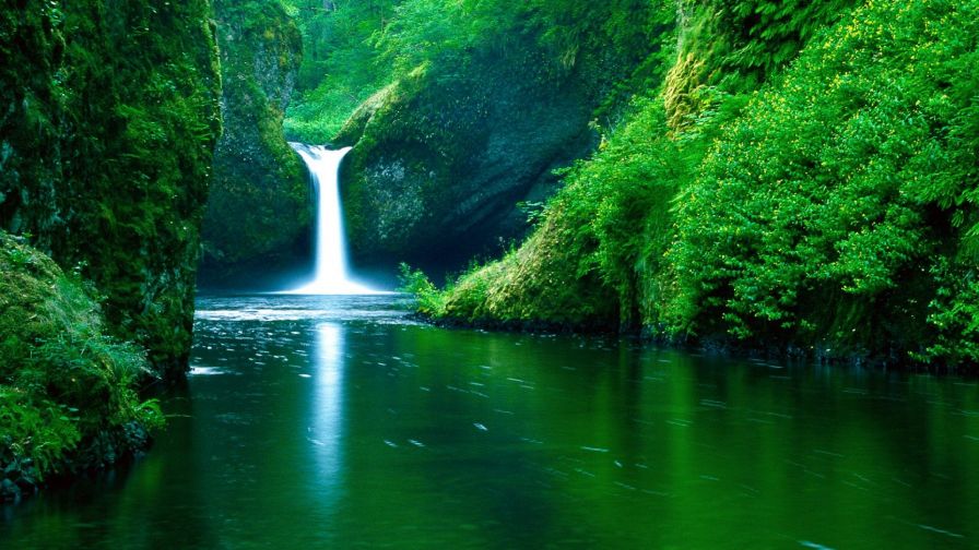 Green Waterfall Forest Wallpaper 048