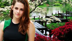 Kristen Stewart Celebrity Wallpaper 501