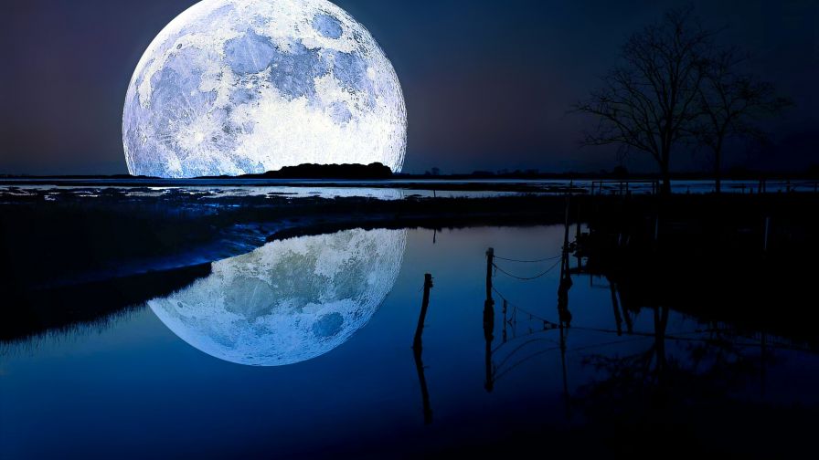 Lake Moon Night Wallpaper 704