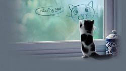 Lonely Kitten Animal Wallpaper 125