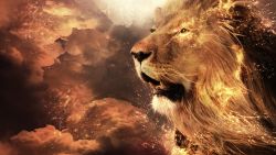 Majestic Lion Animal Wallpaper 797