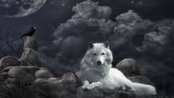 Night Wolf Clouds Wallpaper 636