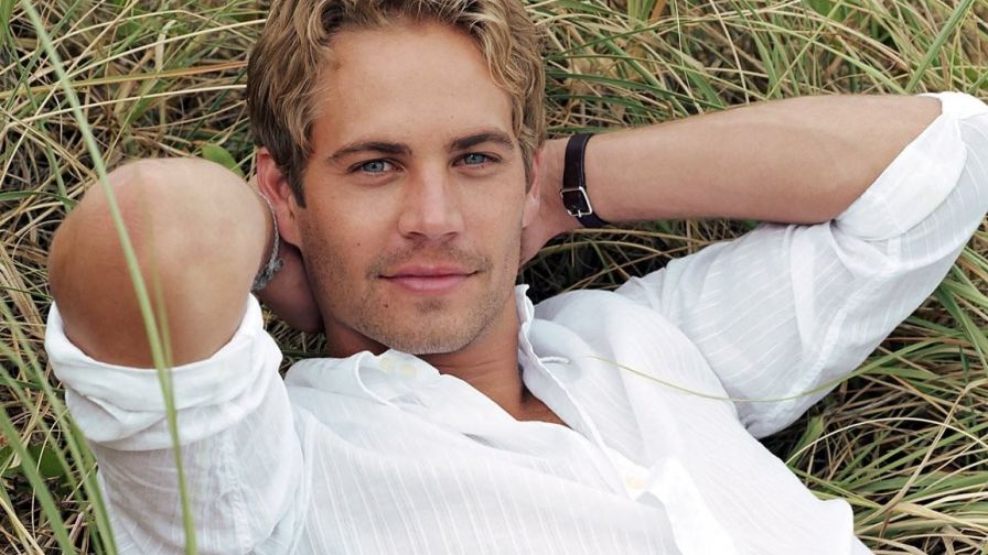 Paul Walker Actor Wallpaper 902