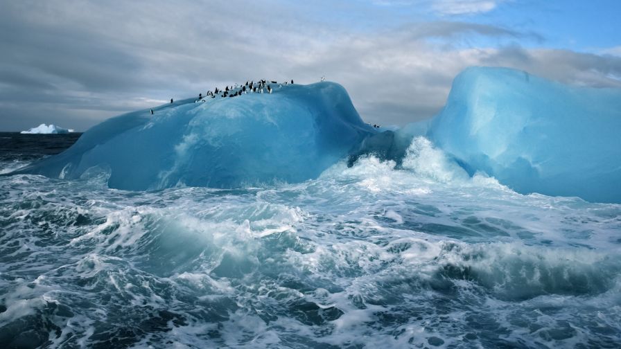 Penquins Ice Glacier Wallpaper 924