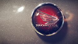 Red Honda Logo Wallpaper 130