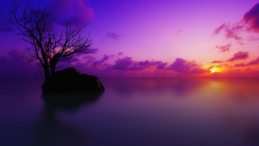 Scenic Ocean Sunset Wallpaper 877