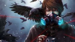 Snowy Crow Anime Wallpaper 514