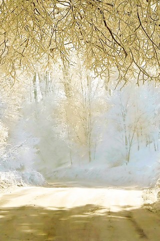 Snowy Road Winter Wallpaper 052