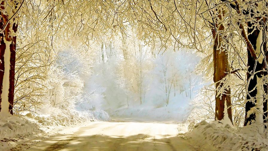 Snowy Road Winter Wallpaper 052