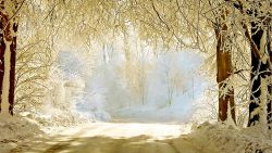 Snowy Road Winter Wallpaper 052